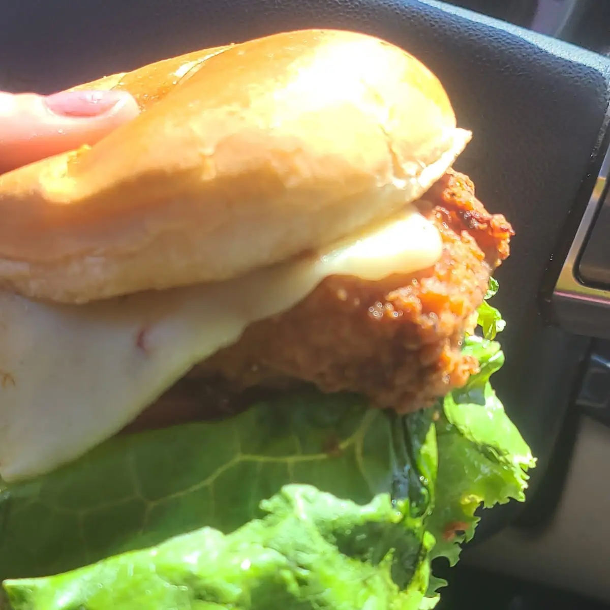 Chicken Sandwich Combo