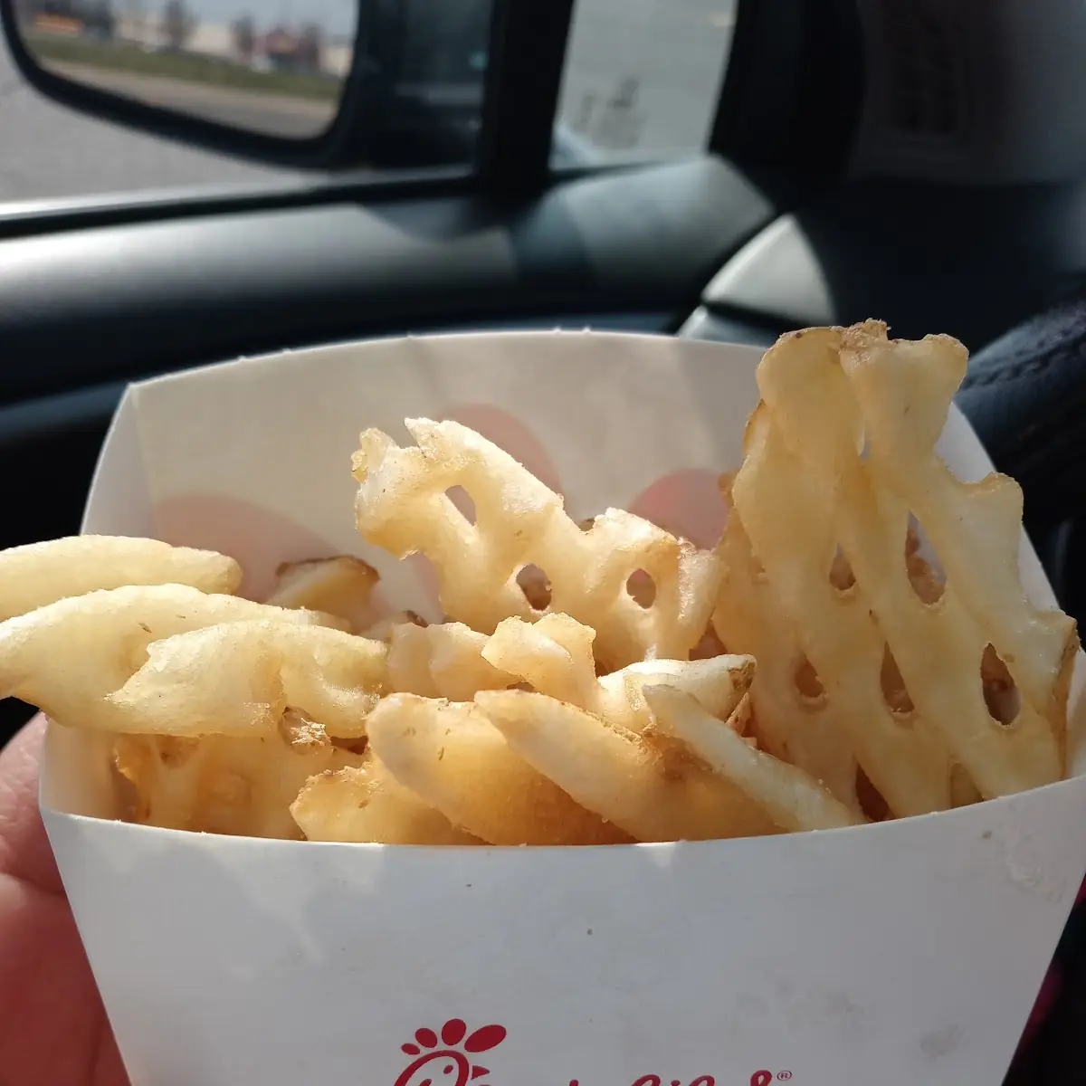 Waffle Fries