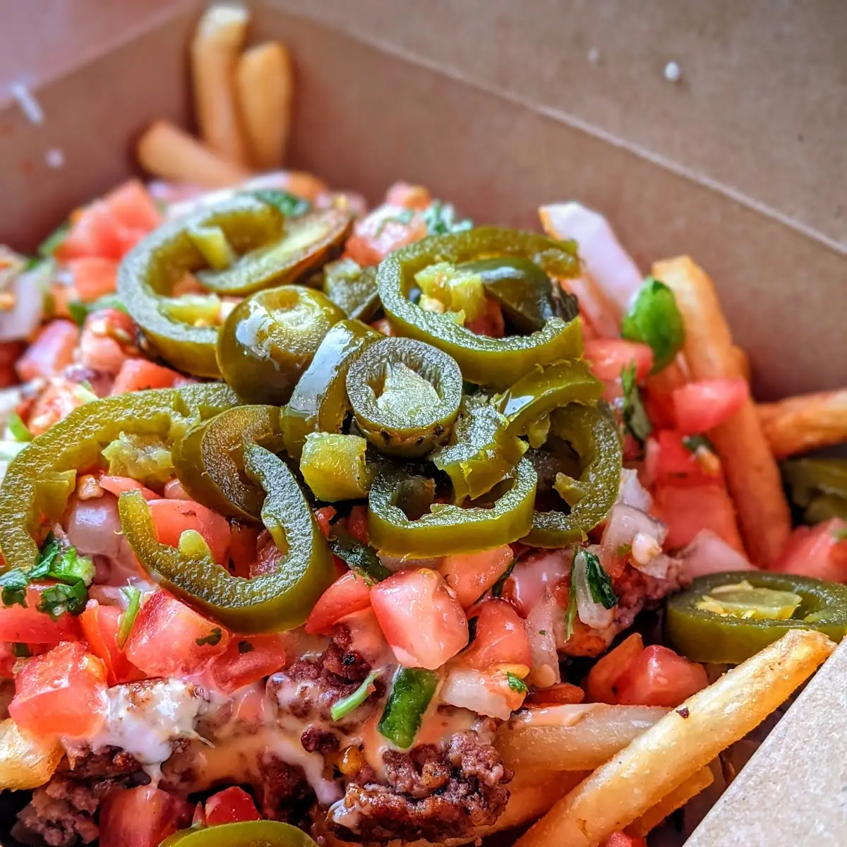 Chopped Cheese Asada Fries
