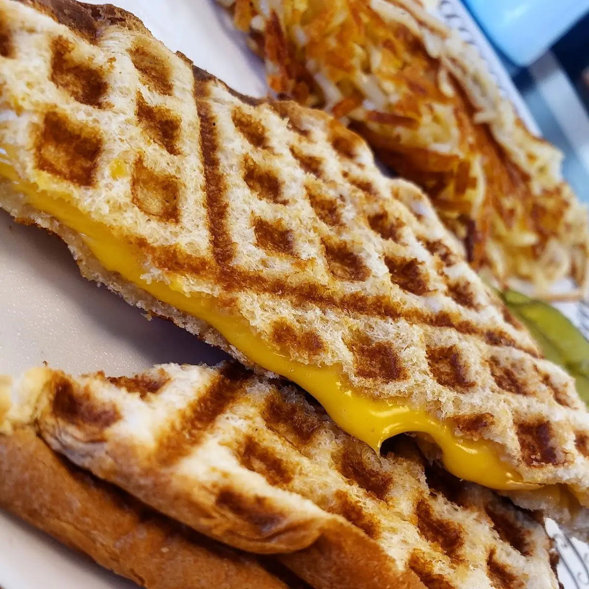 Cheese Sandwich
