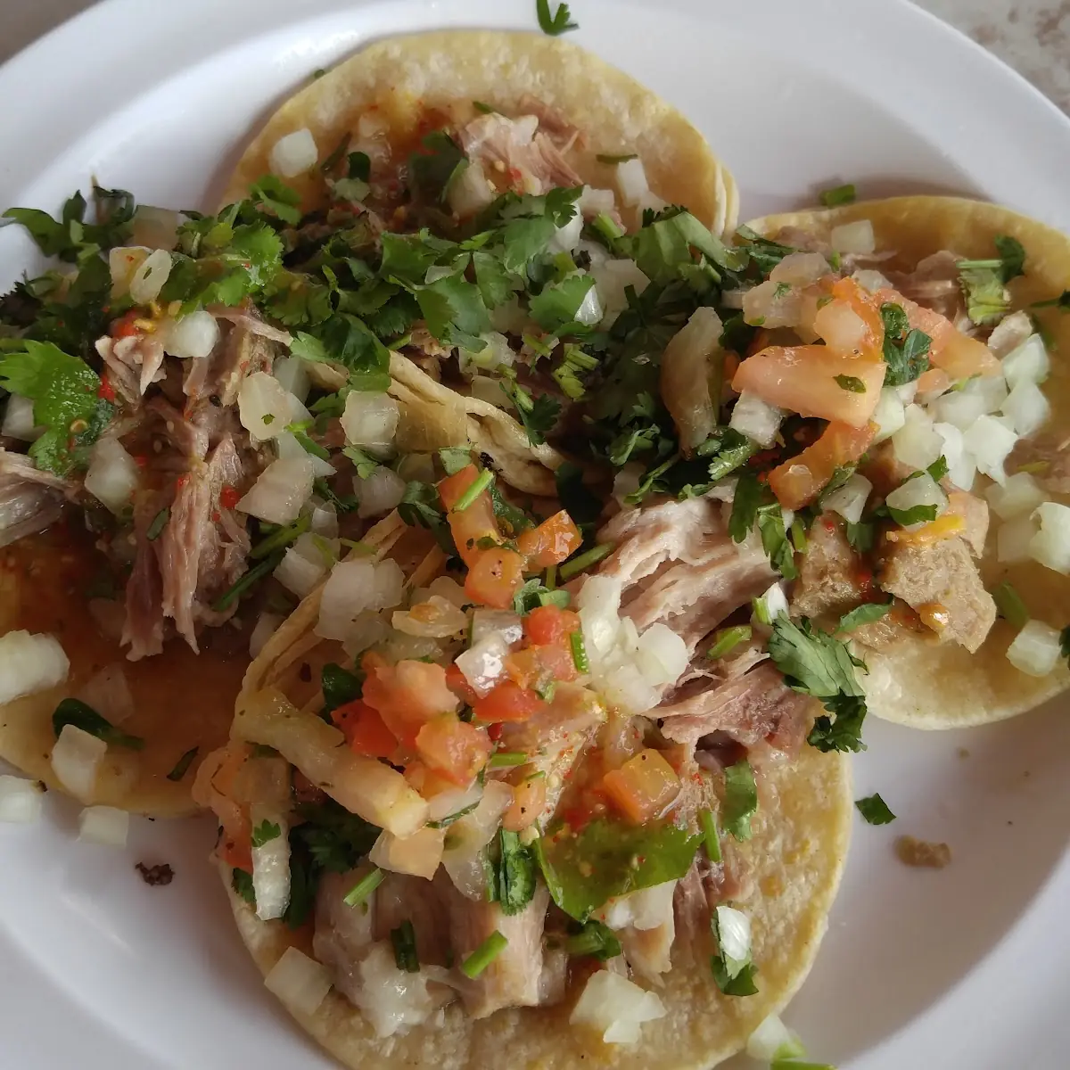 Carnitas Tacos