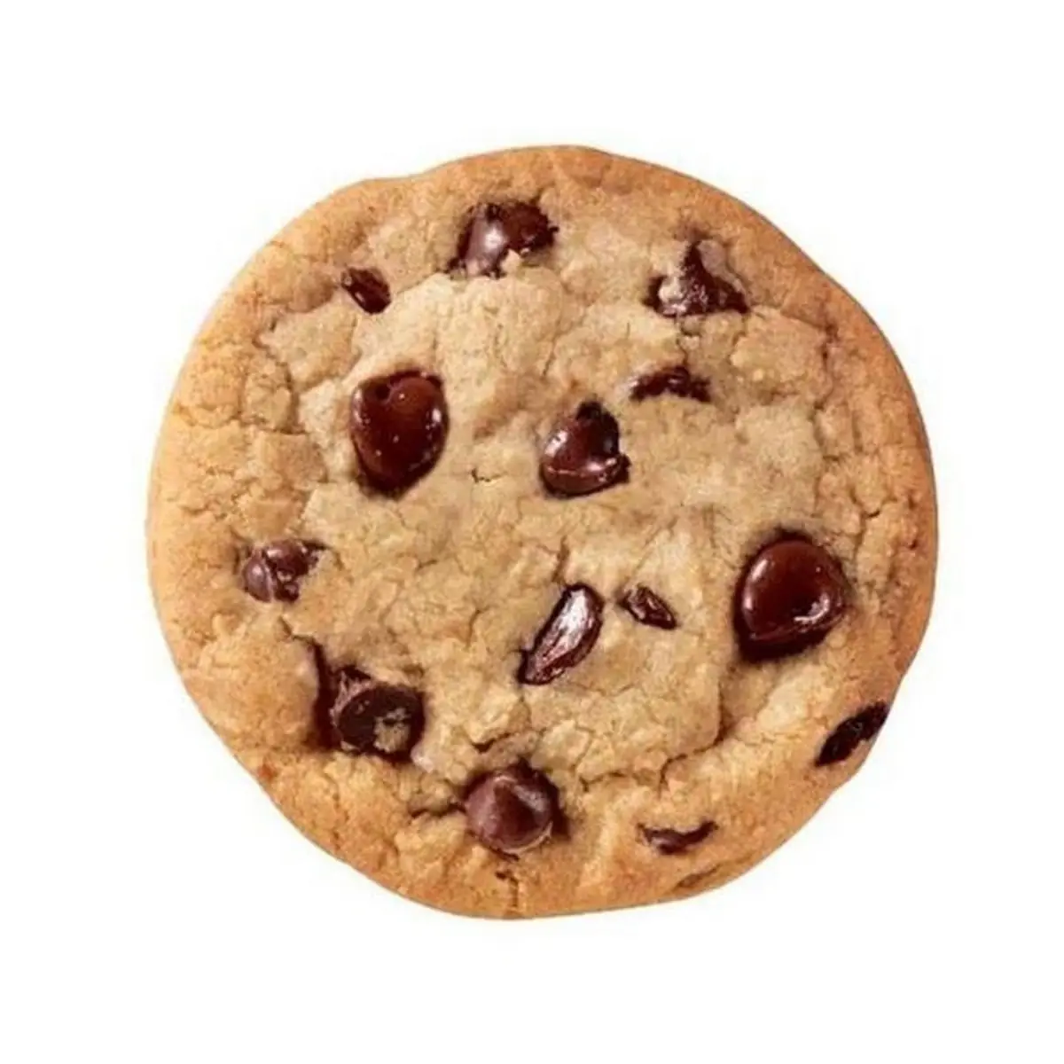 Chocolate Chip Cookie