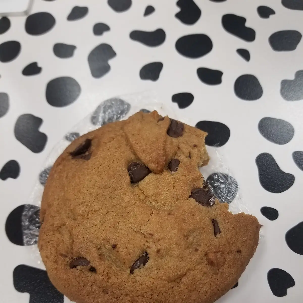 Chocolate Chip Cookie