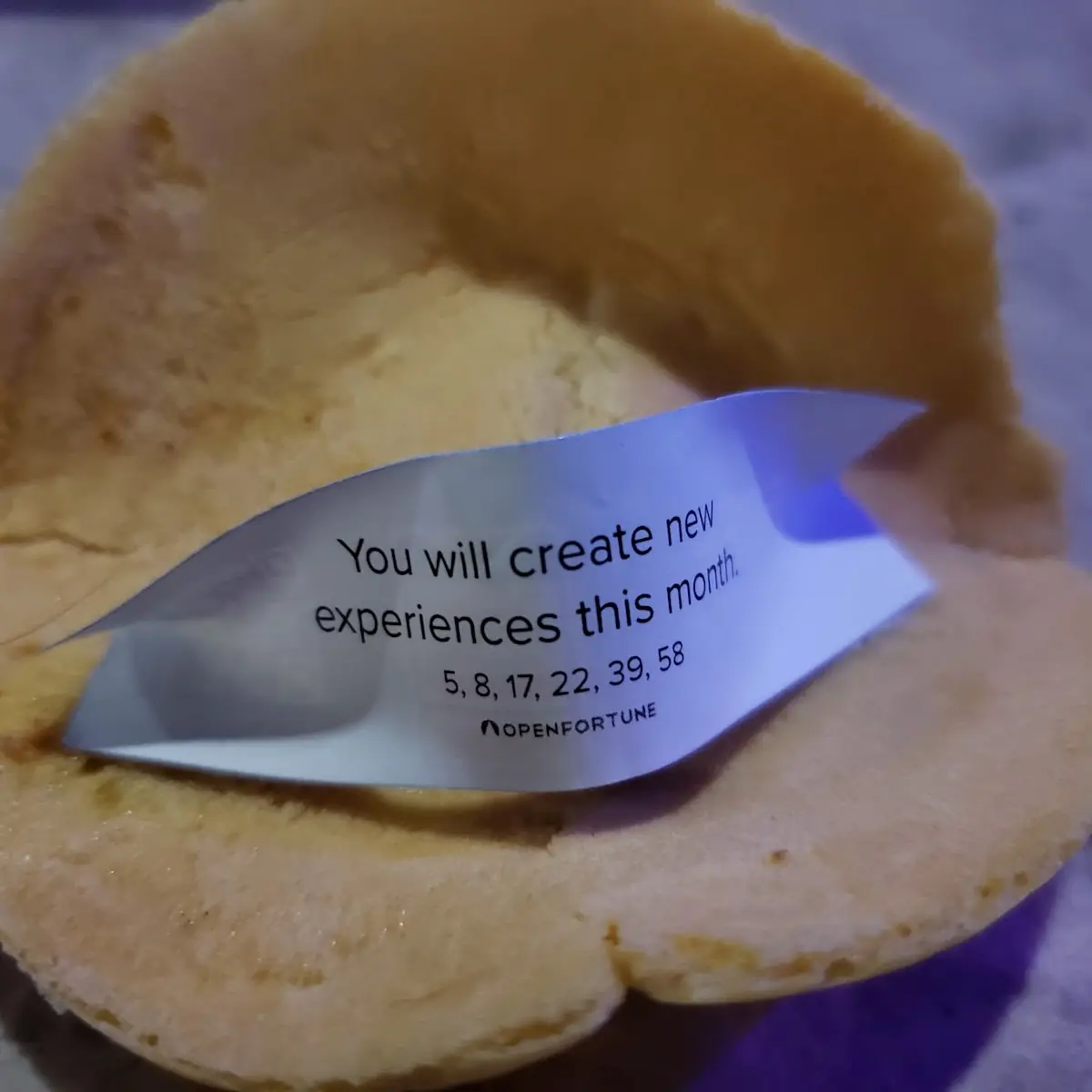 Fortune Cookie