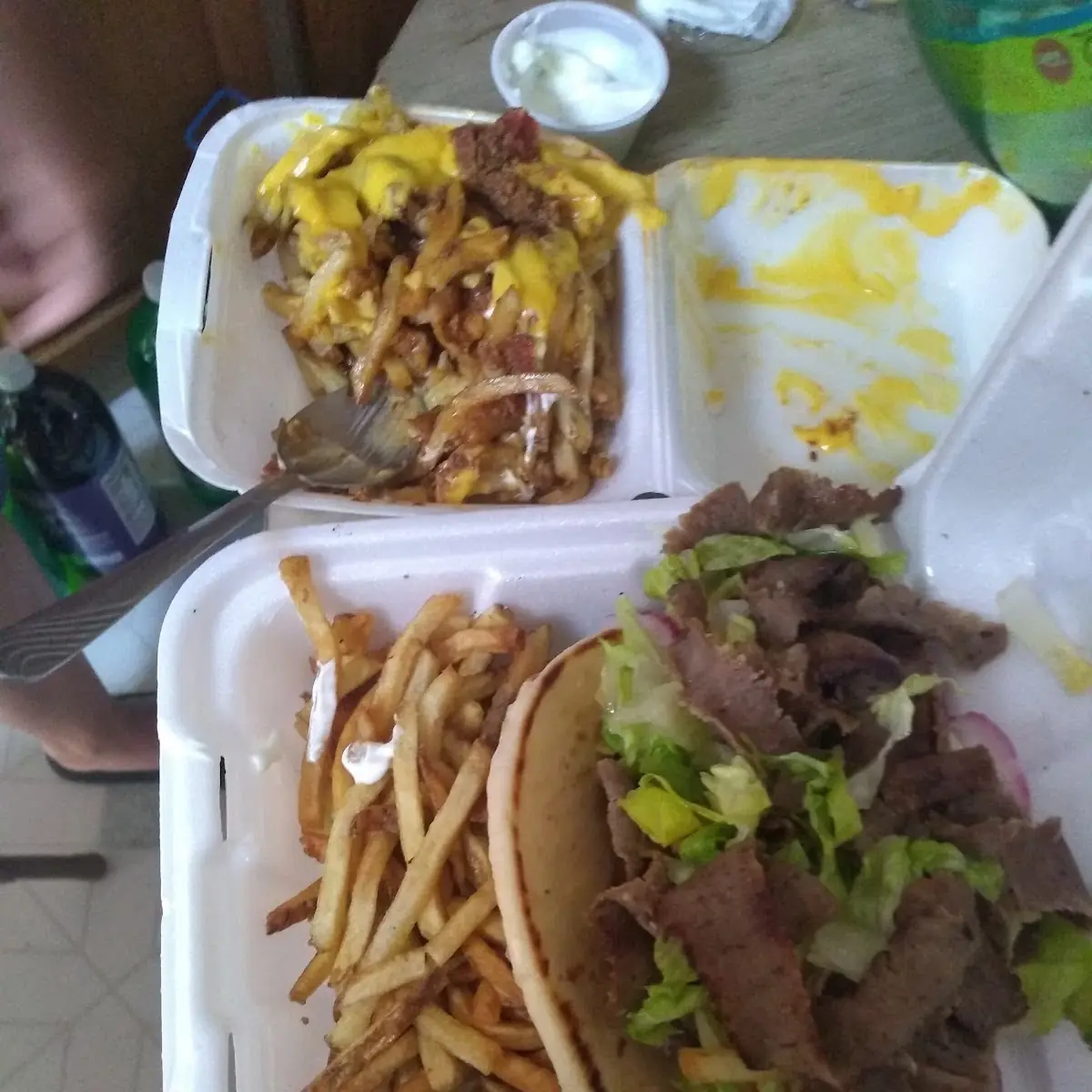 Gyro Plate