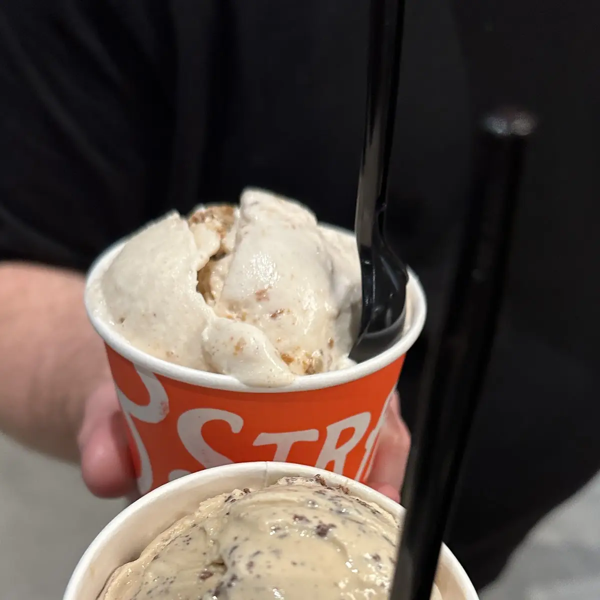 Salted Malted Chocolate Chip Cookie Dough