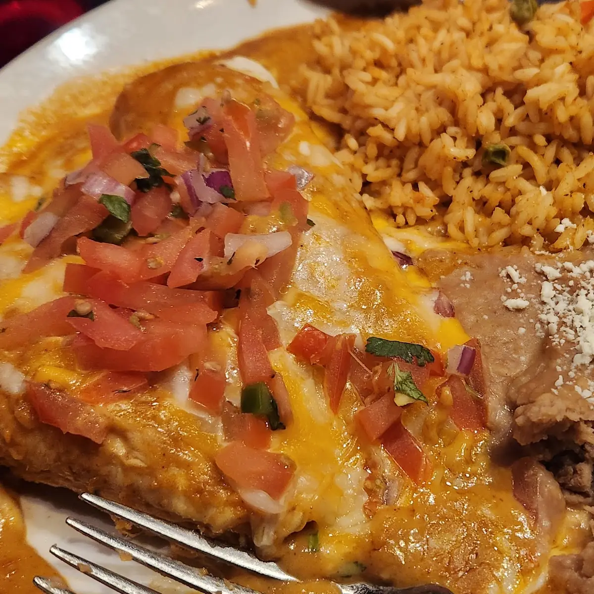 Roasted Chicken Enchiladas