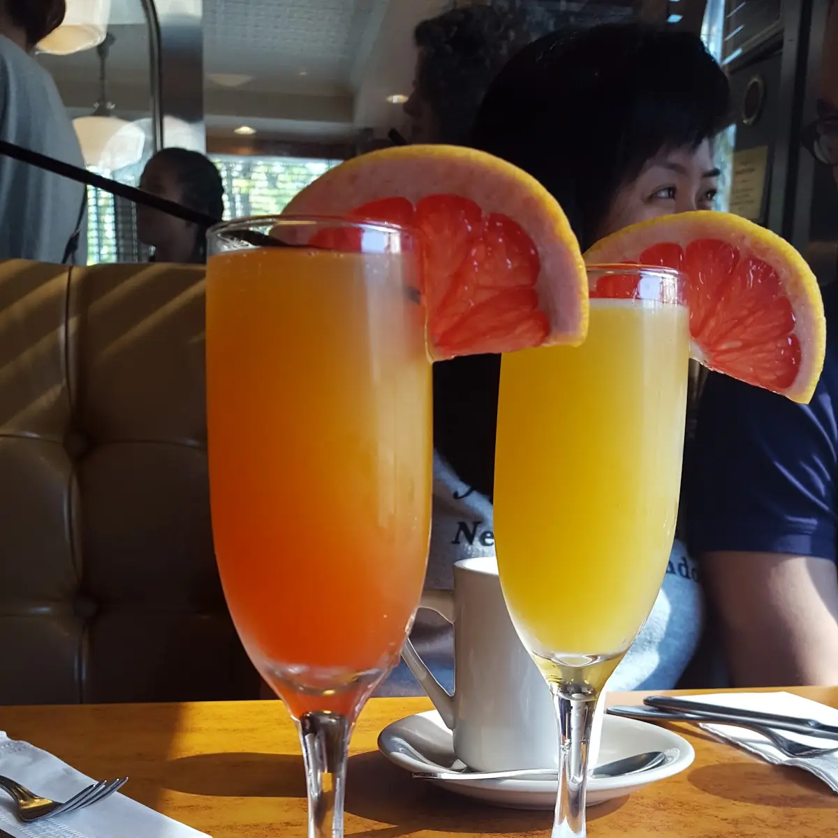 Classic Mimosa