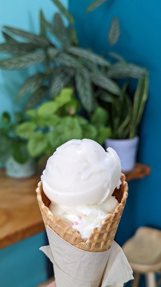 Highlights, Pambula Village Milk Bar