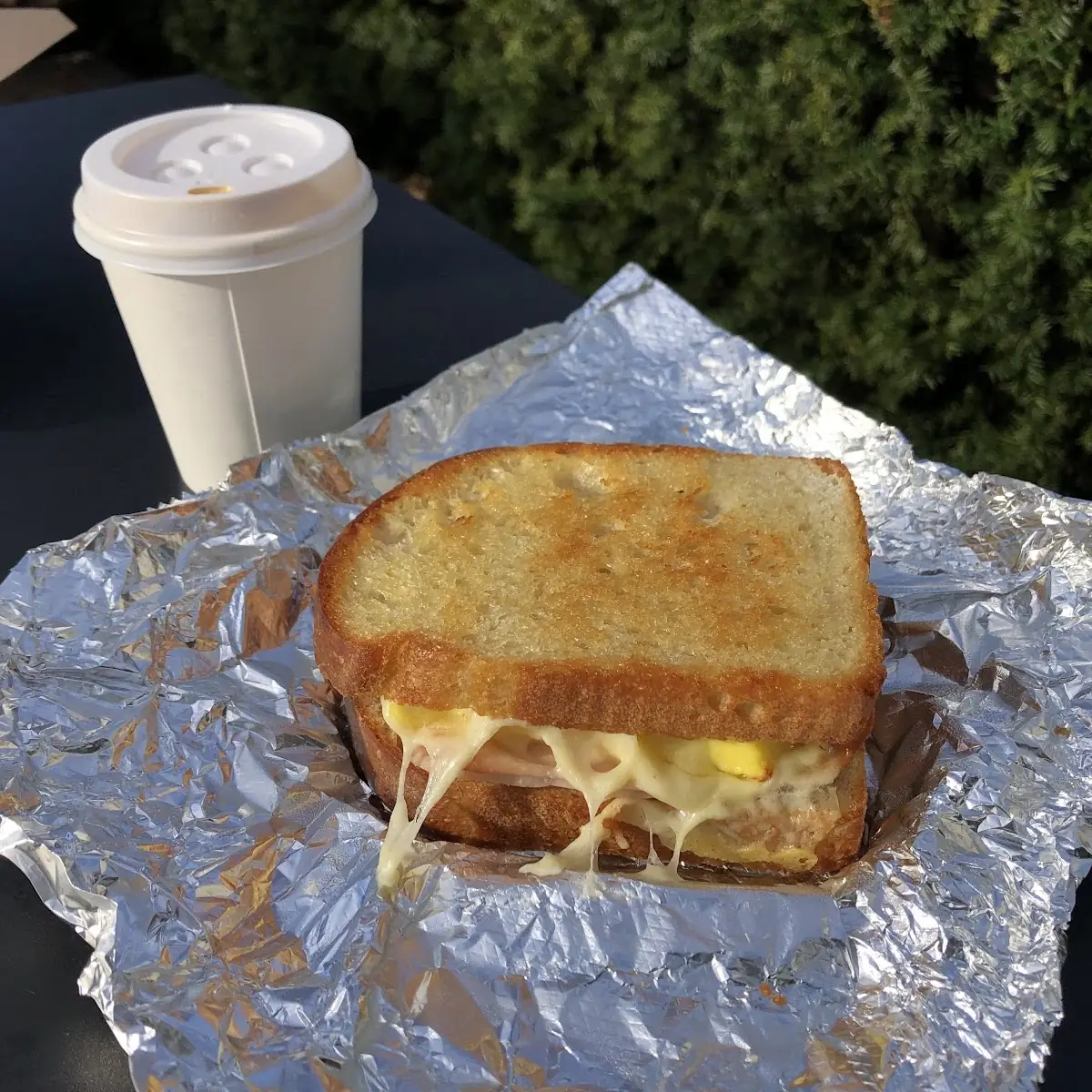 Cheese Sandwich