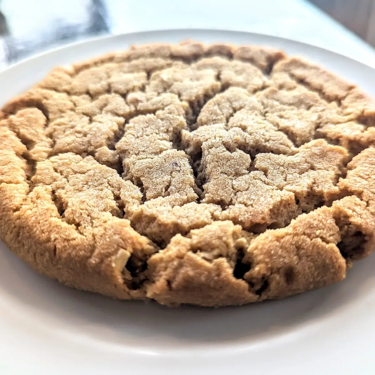 Peanut Butter Cookie