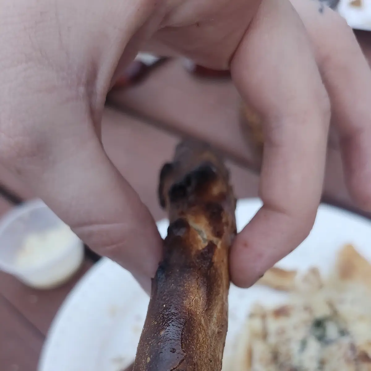 Burnt Pizza