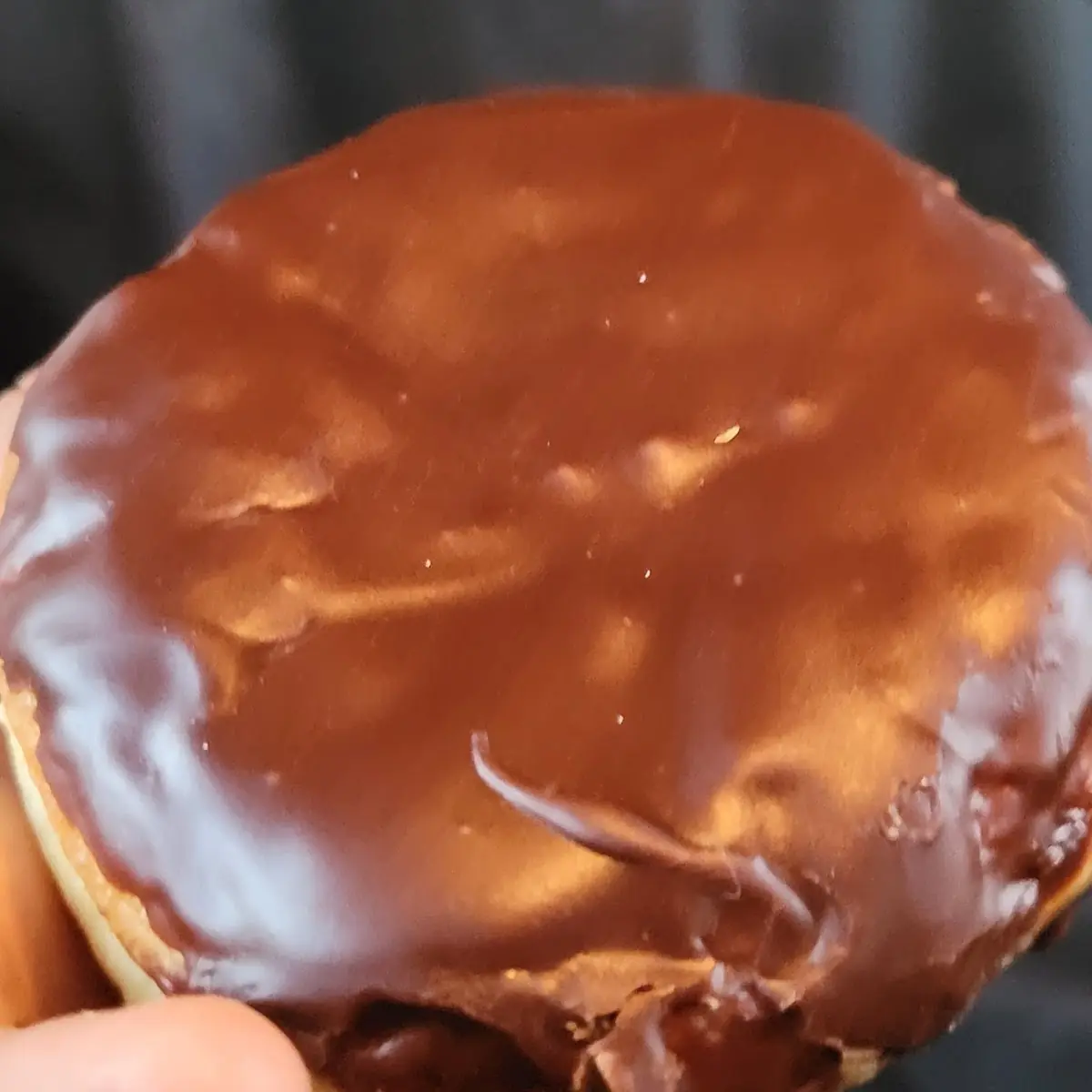 Boston Cream Donuts