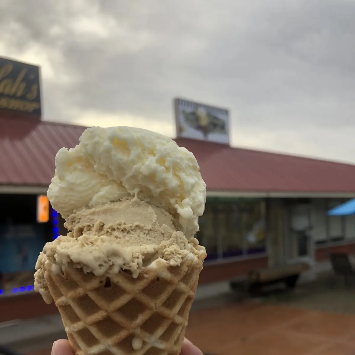 French Vanilla Ice Cream