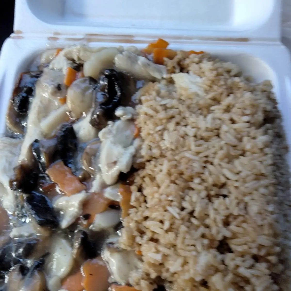 Pork w/Garlic sauce