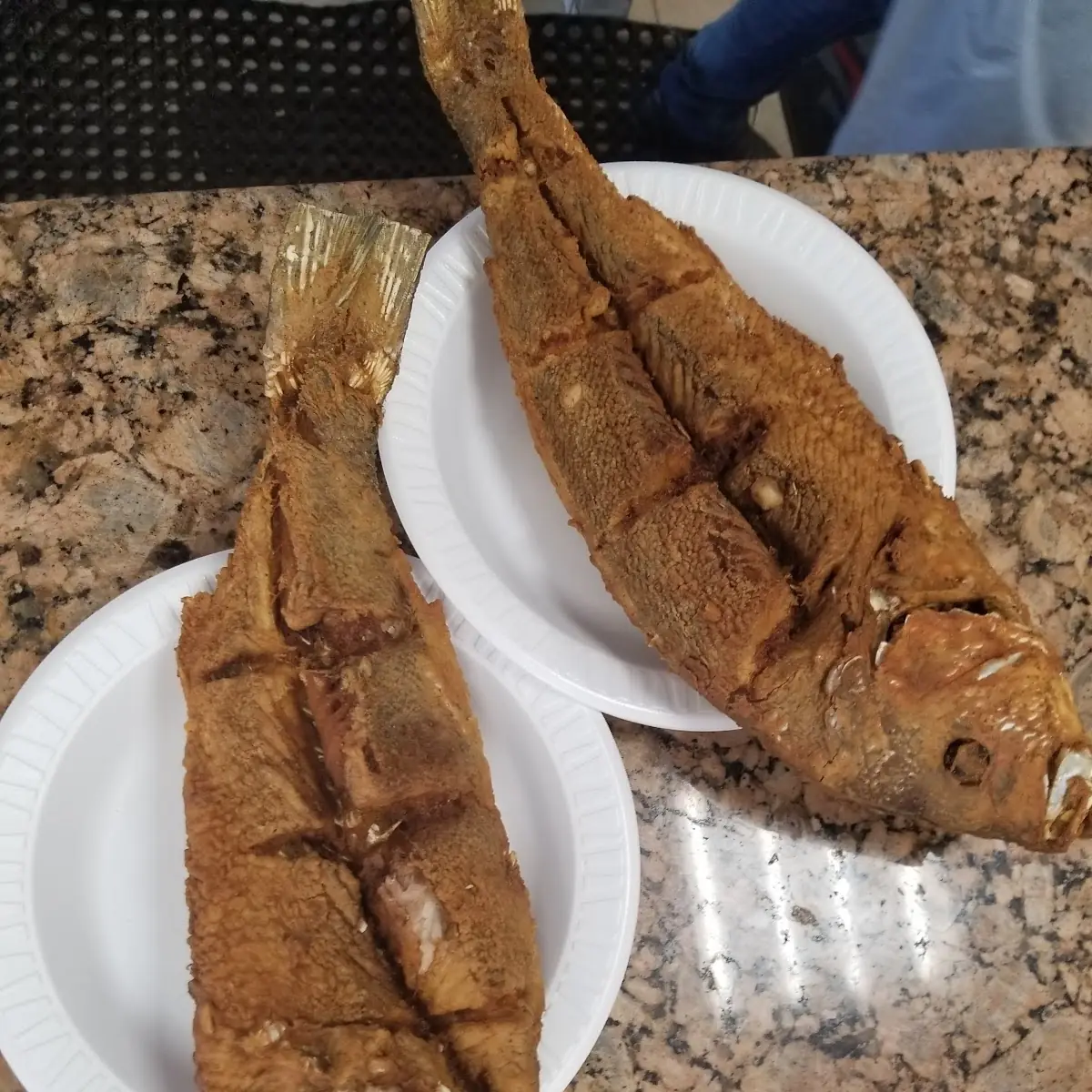 Fish Red Snapper