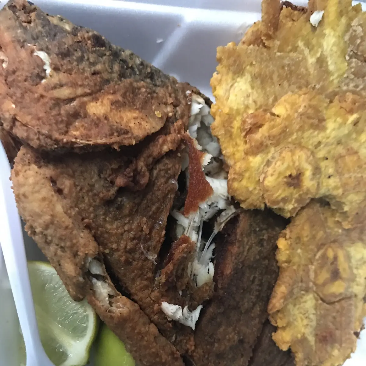 Fish Tilapia