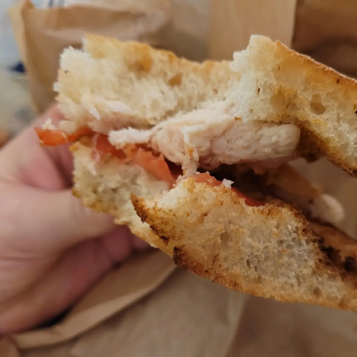 Frontega Chicken Panini - Whole Panini