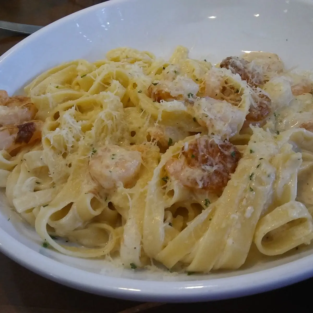 Shrimp Alfredo