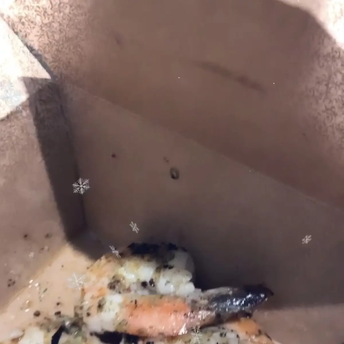 Grilled Shrimp
