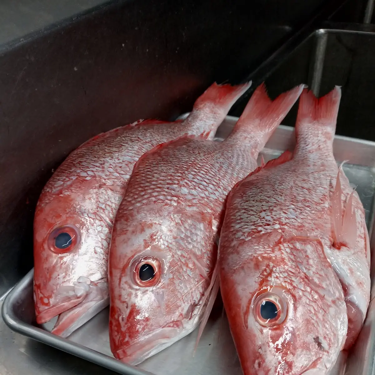 Huachinango Entero Whole Red Snapper
