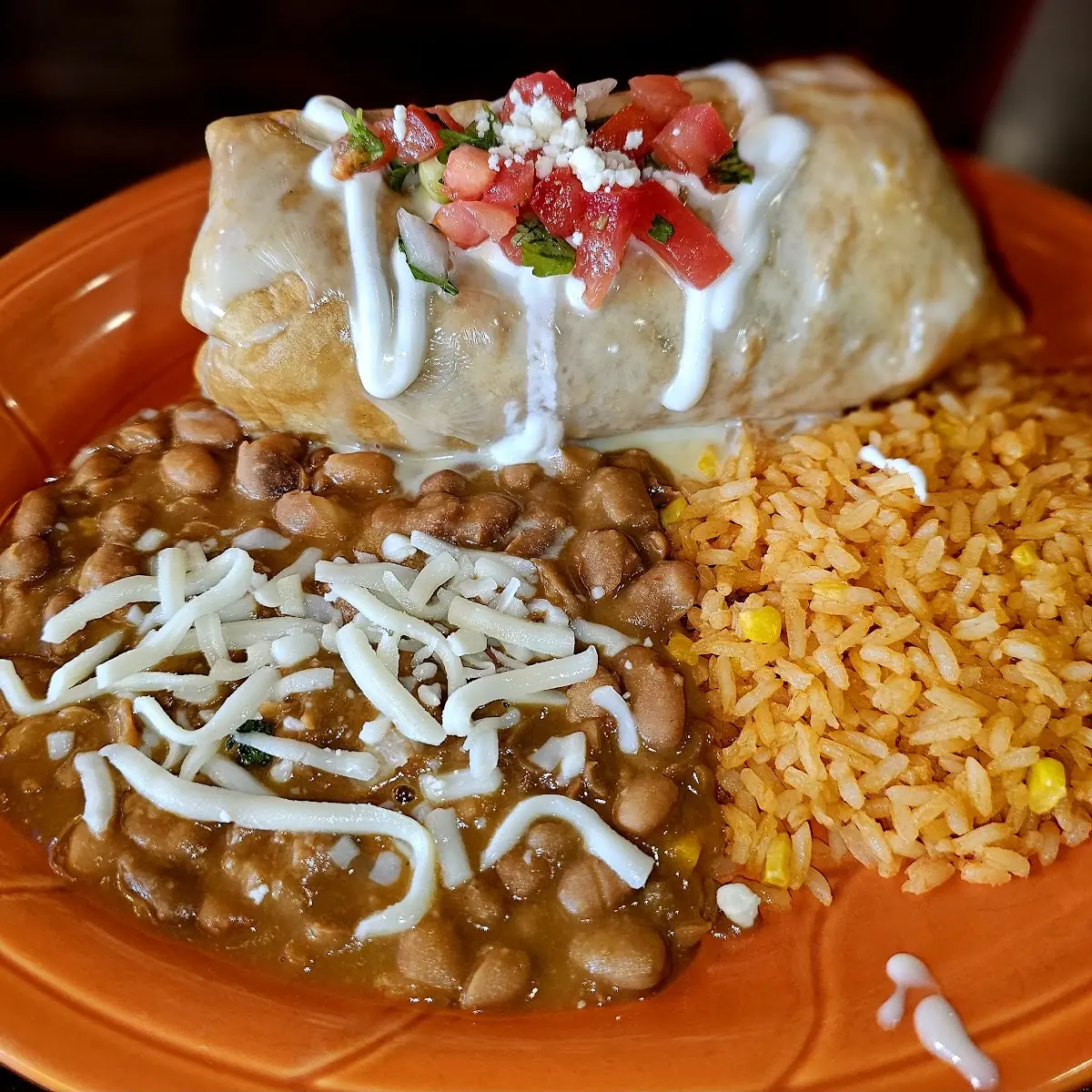 Chicken Enchiladas with Rice and Beans