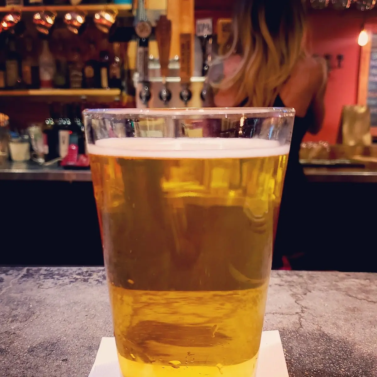 Dark Horse Blonde Beer