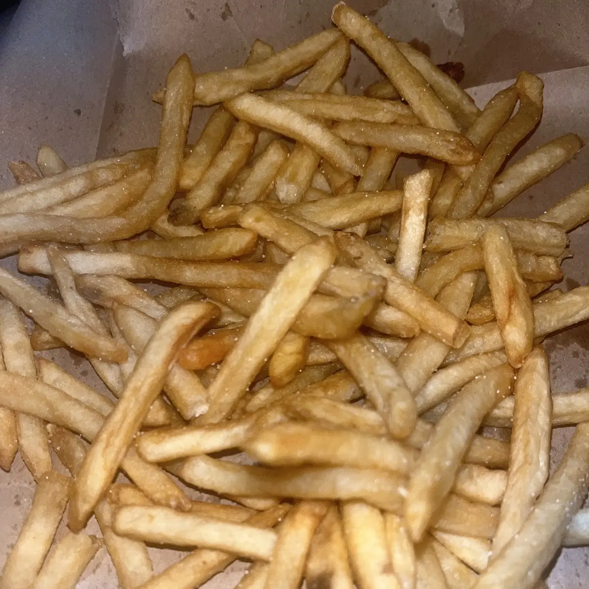 World Famous Fries