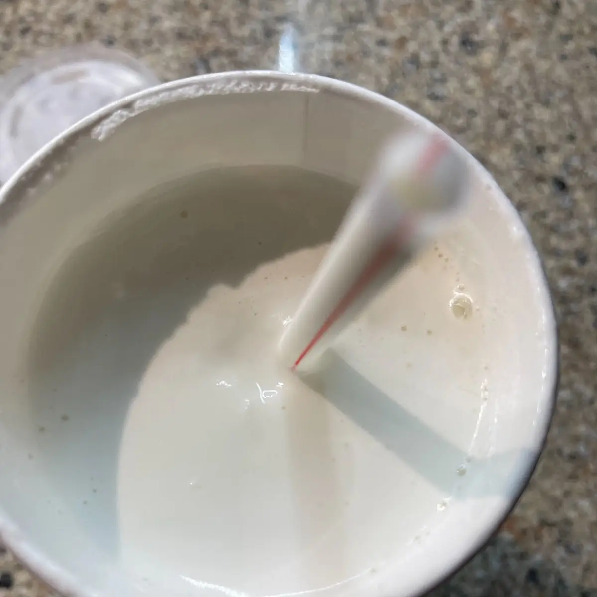 Plain Vanilla Shake