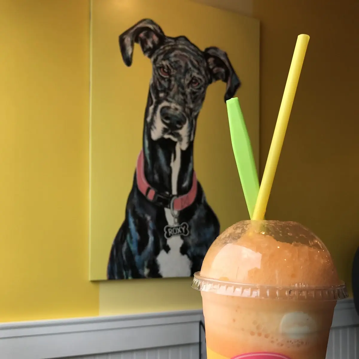 Dreamsicle Float