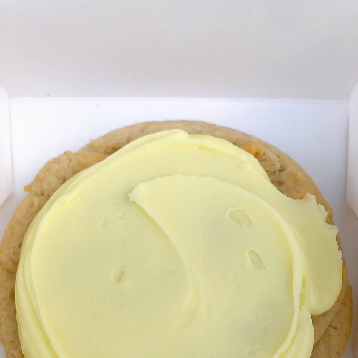 Sugar Cookie