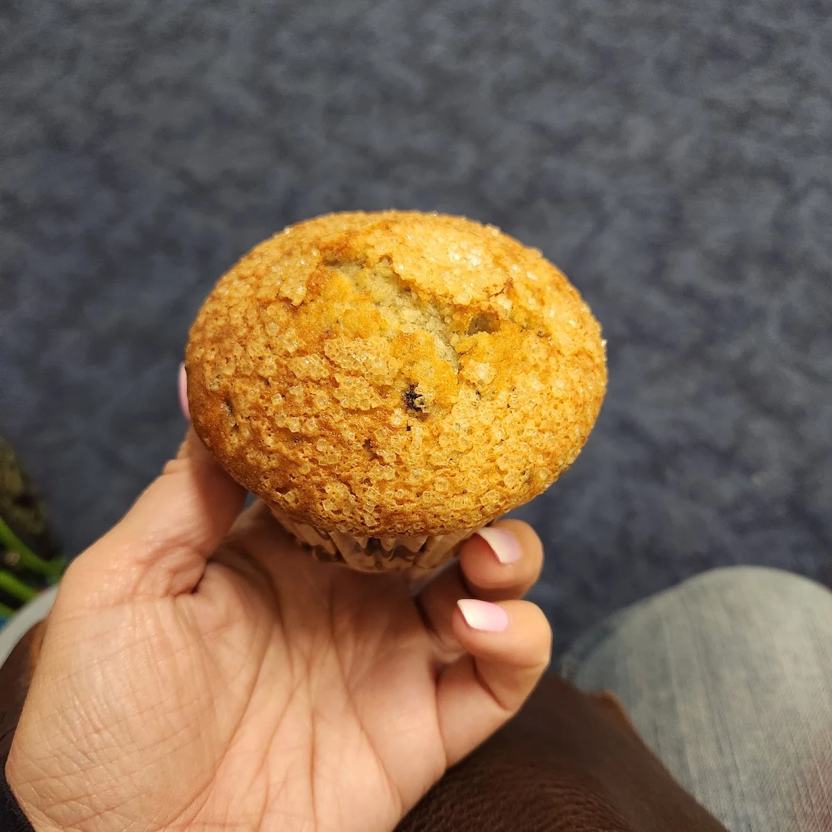 Blueberry Muffin