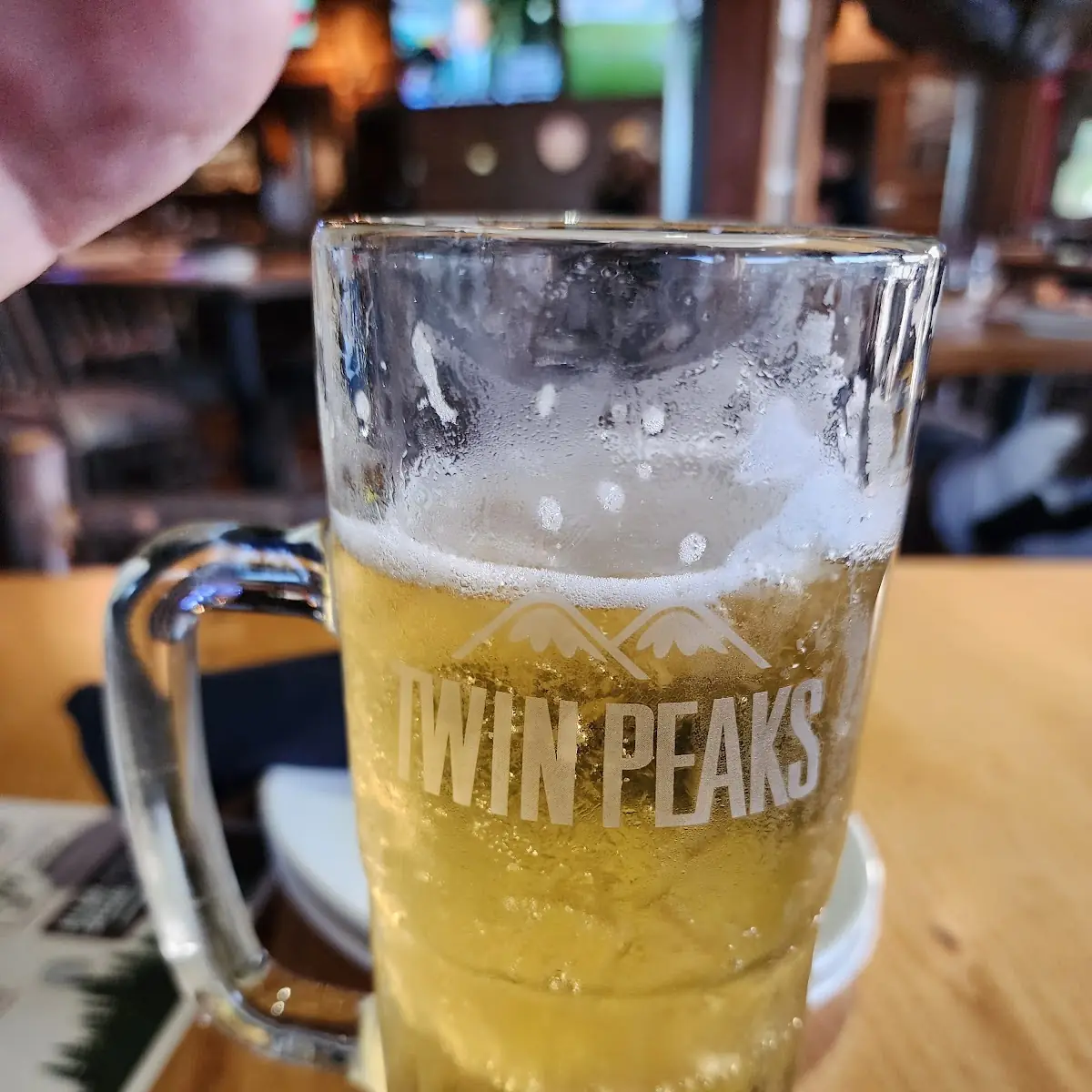 Frosted Beer Mug