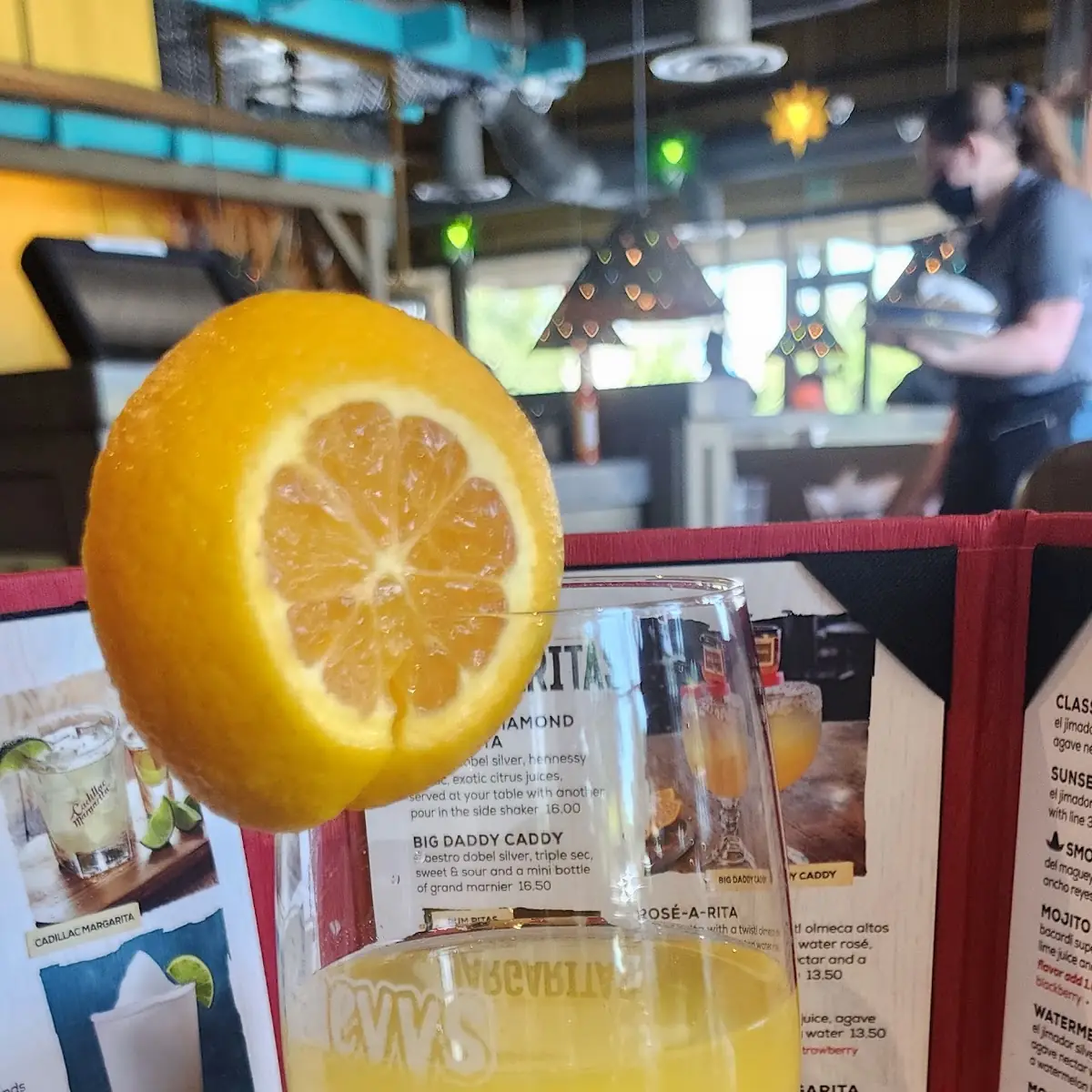 Orange Mimosa