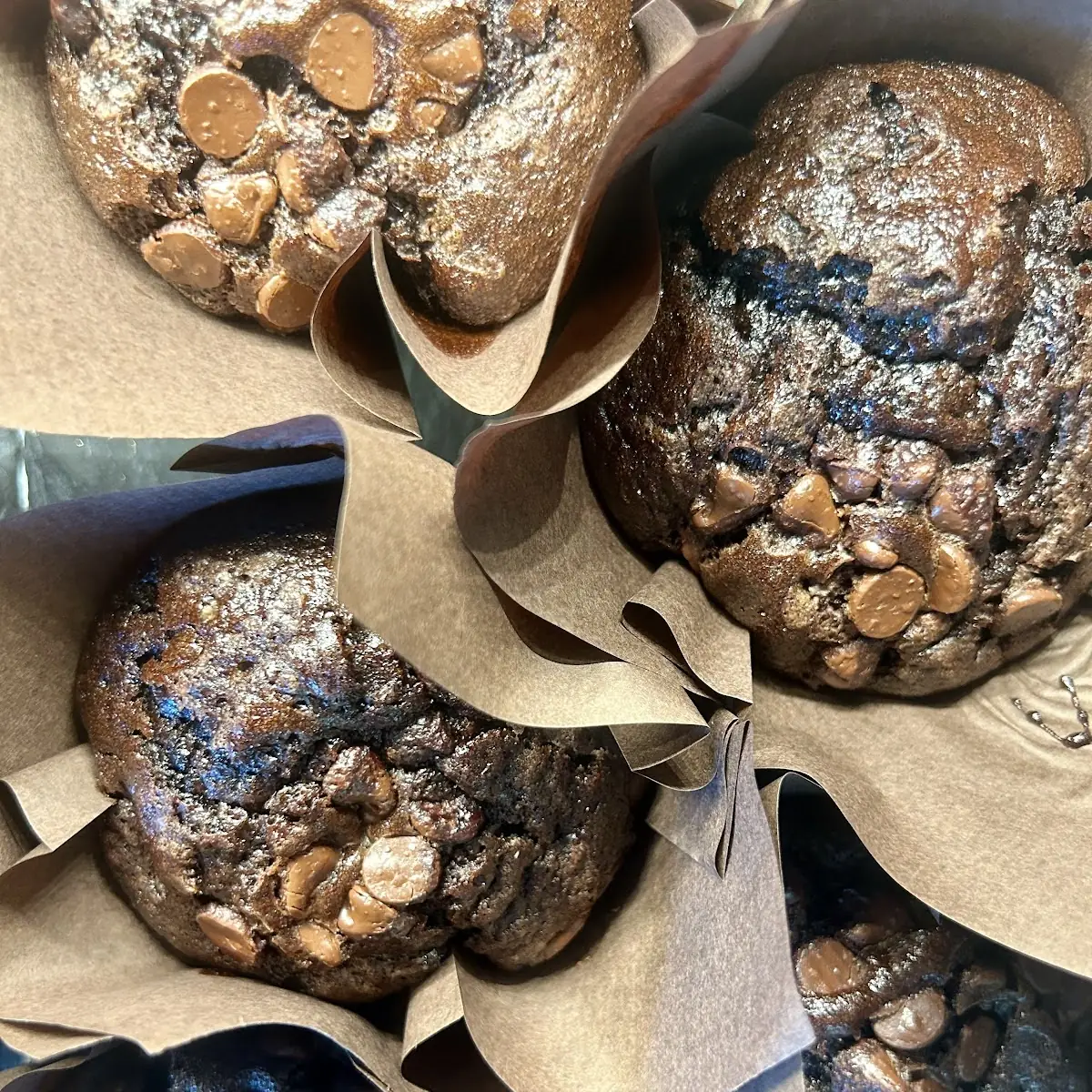 Double Chocolate Muffin