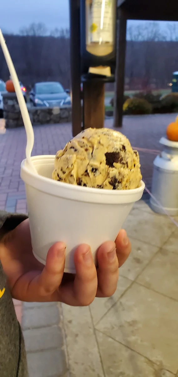 Pumpkin Oreo Ice-Cream