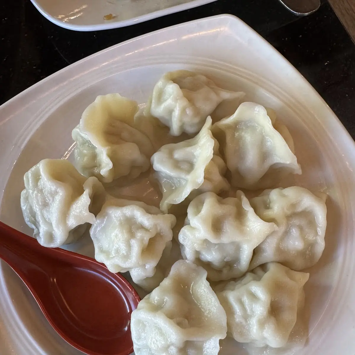Chicken Dumplings 10
