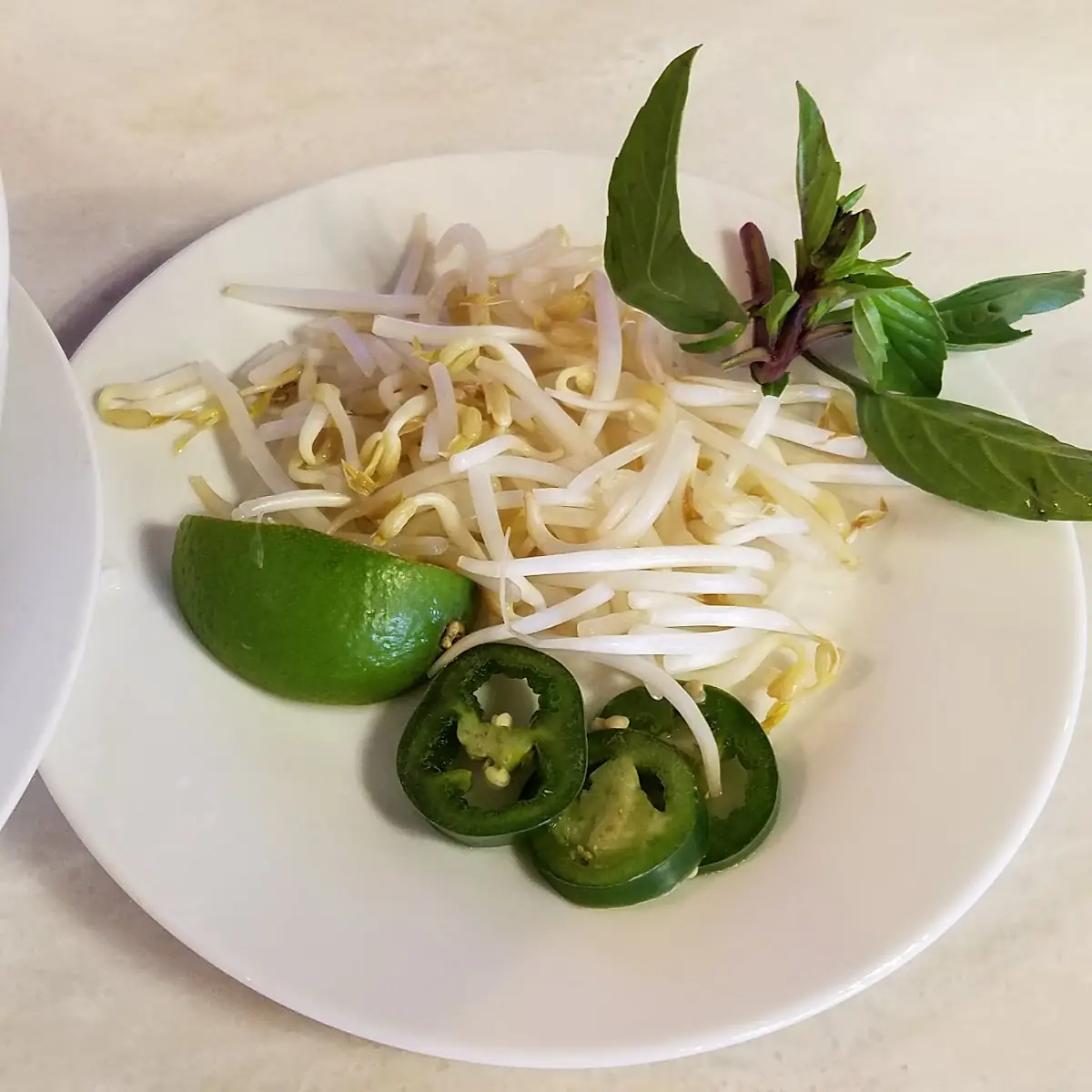 Pho Soup