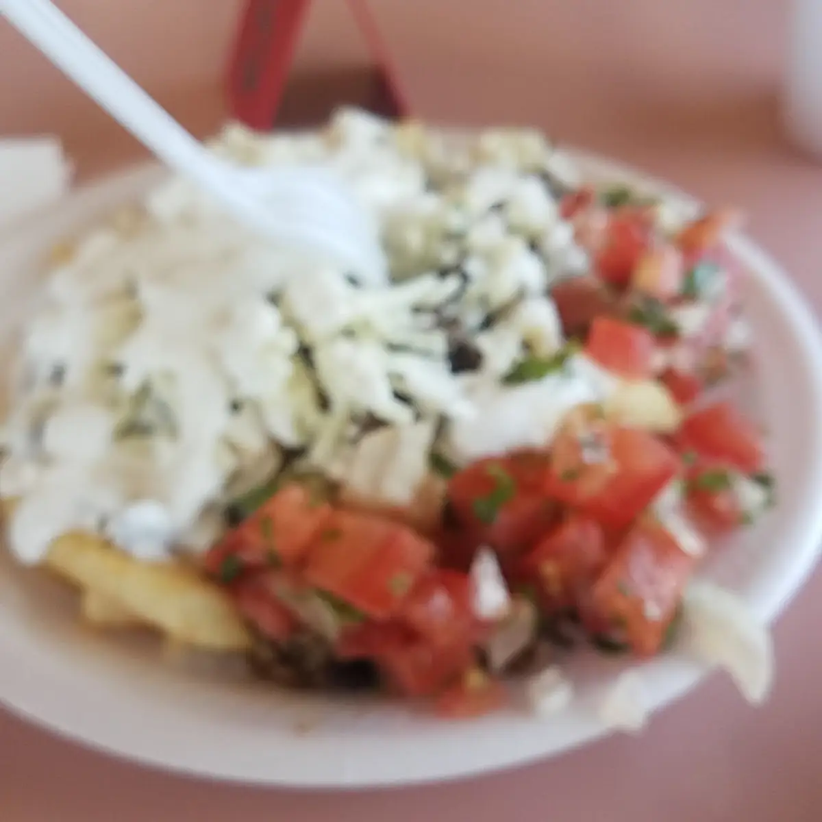 Asada Fries with Cheese