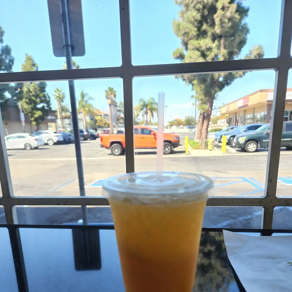 Fresh Squeezed Orange Juice
