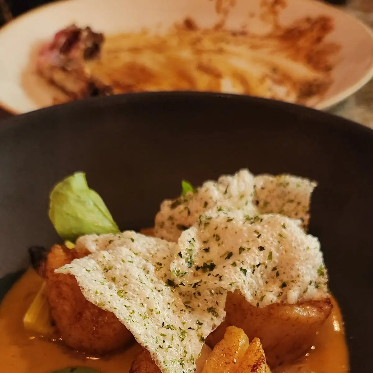 Maine Scallops