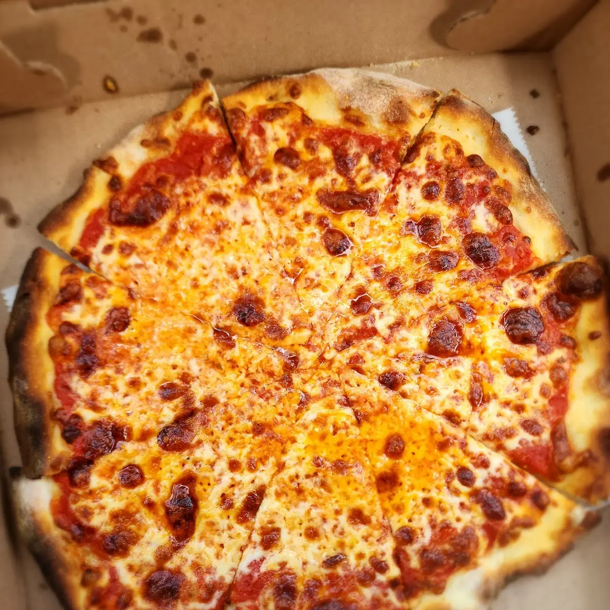 Plain Cheese Pizza