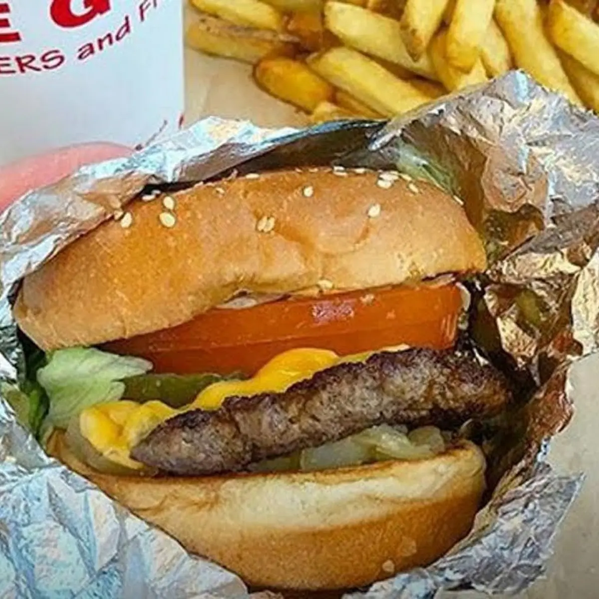 Five Guys Regular Burger