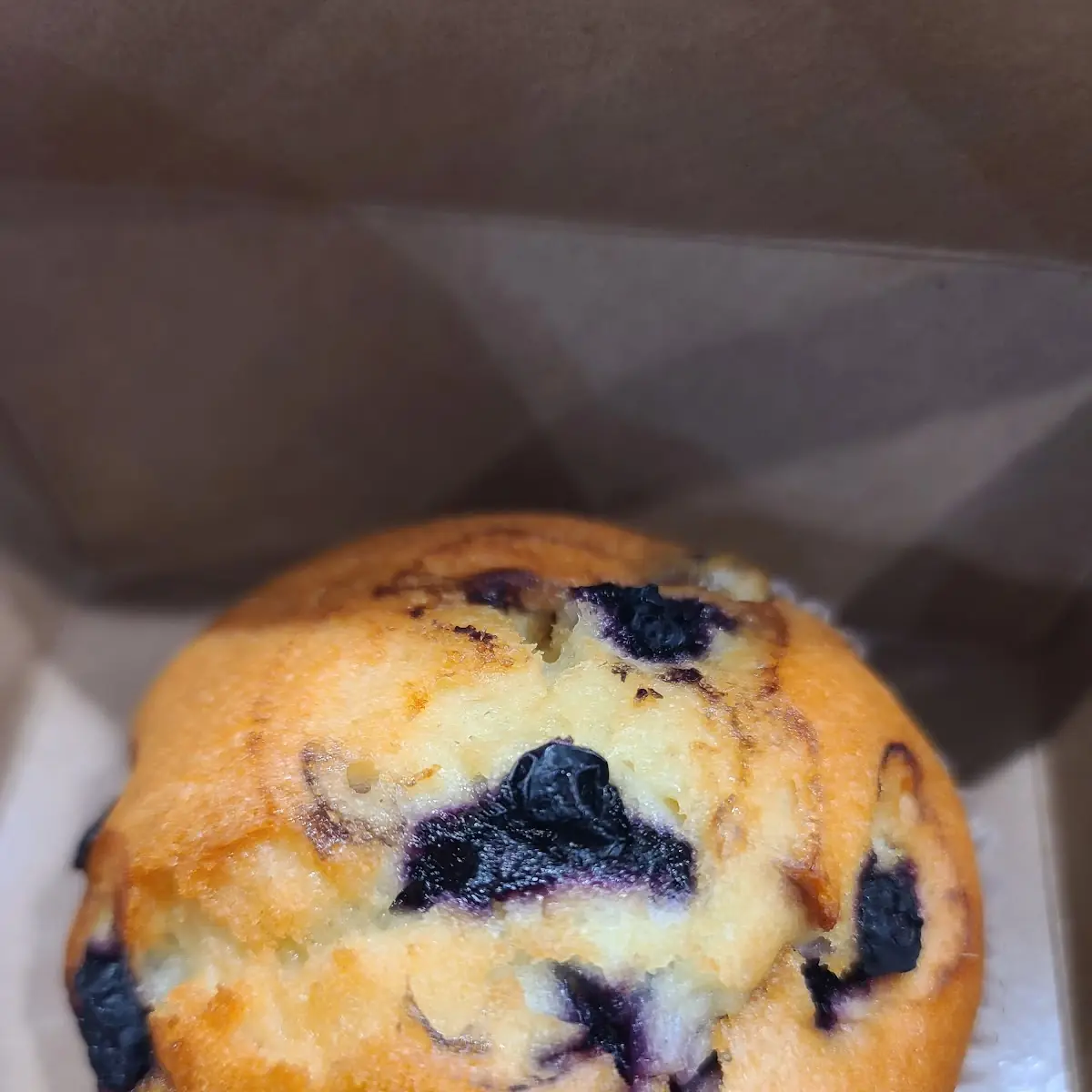 Blueberry Muffin