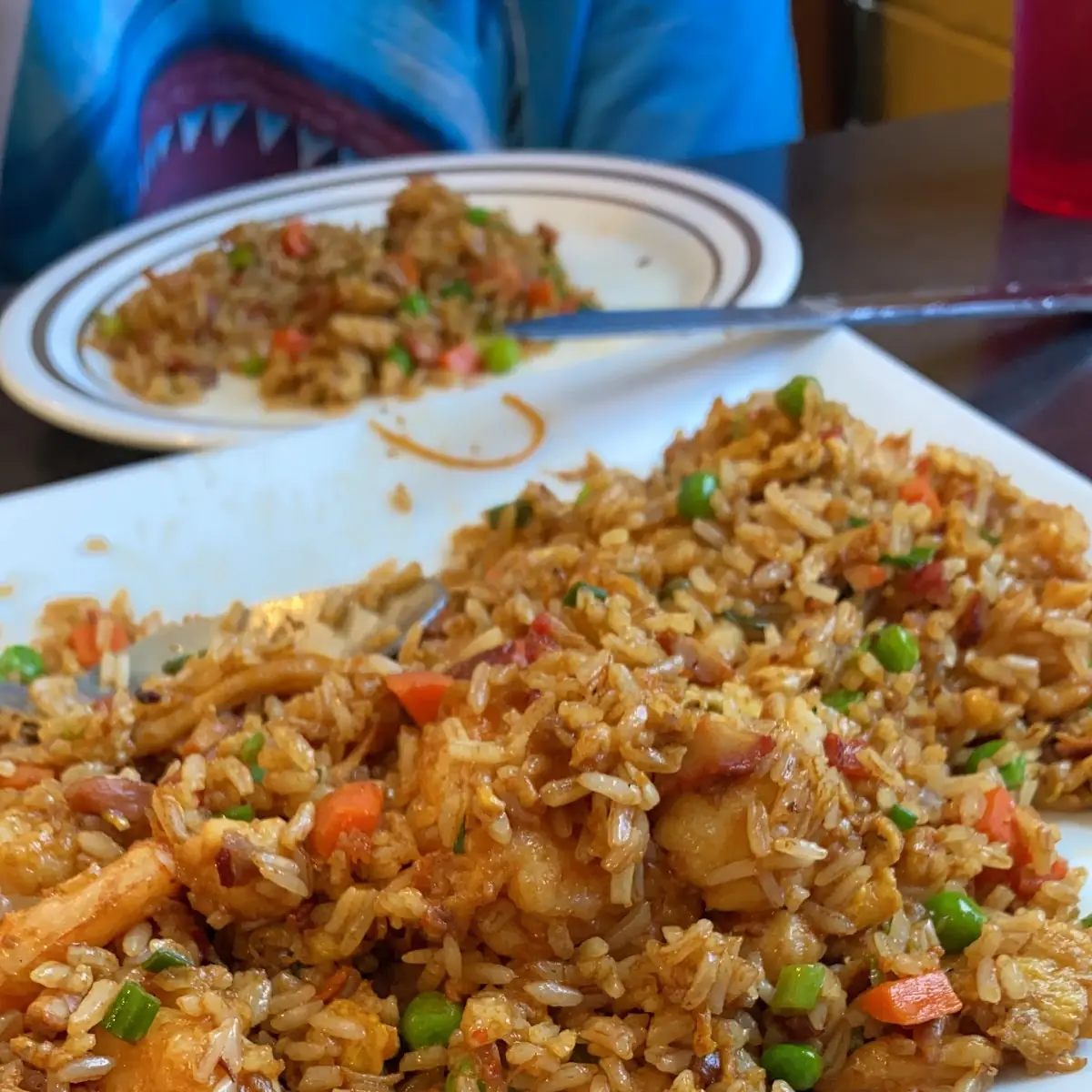 Pork Fried Rice Extra Dark