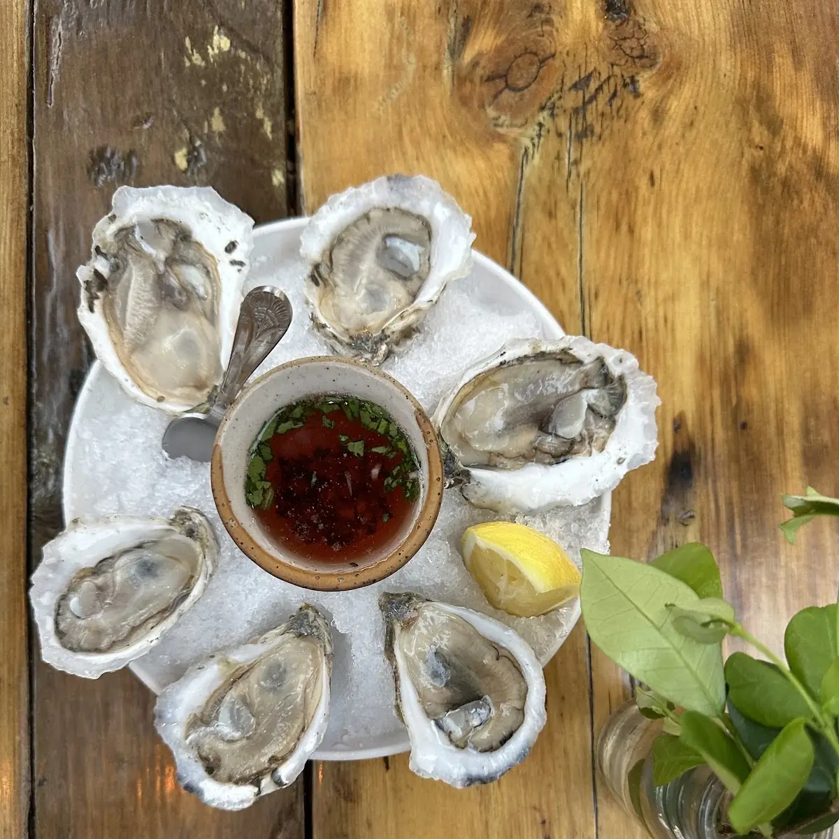 Murder Point Oysters