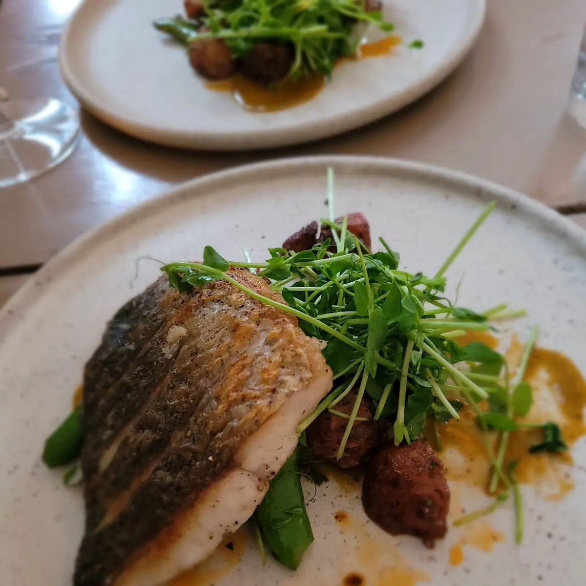 Sea Bass