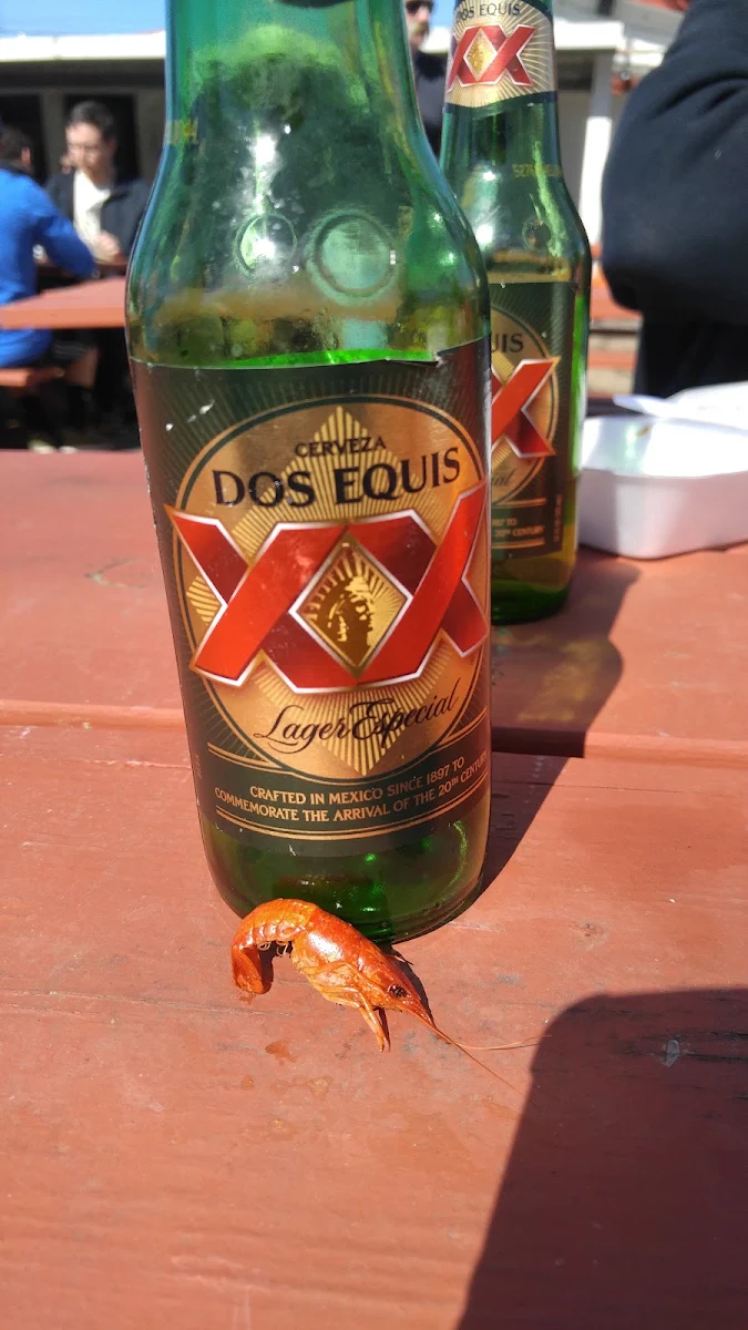 Dos Equis and Baby Crawfish