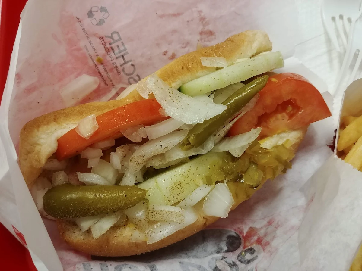 Classic Chicago Dog