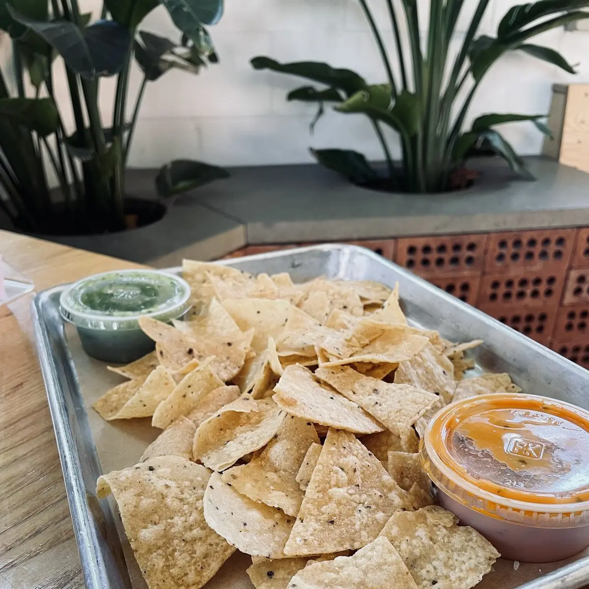 Chips & Salsas